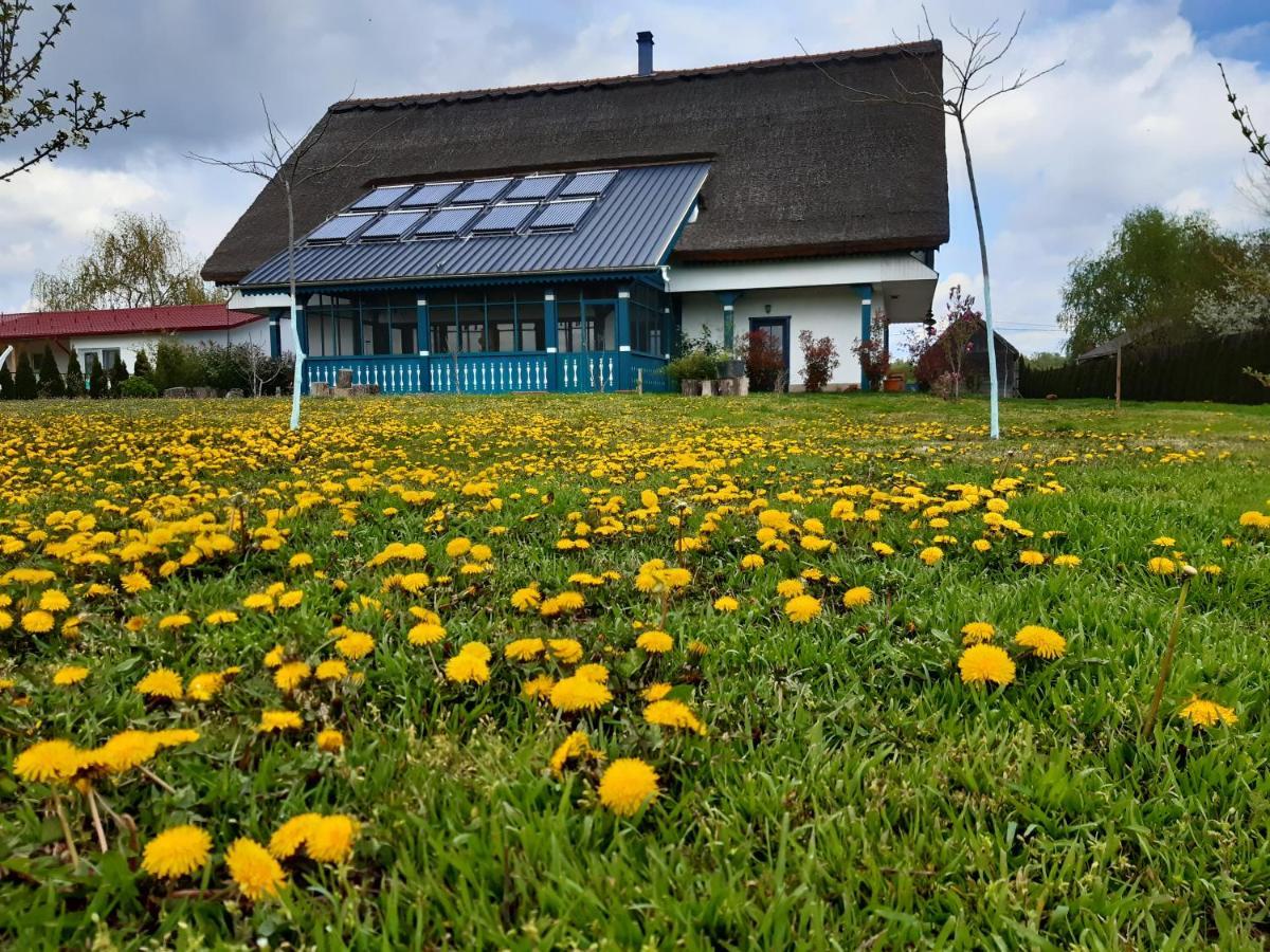 Agropensiunea Beluga Gorgova Exterior photo